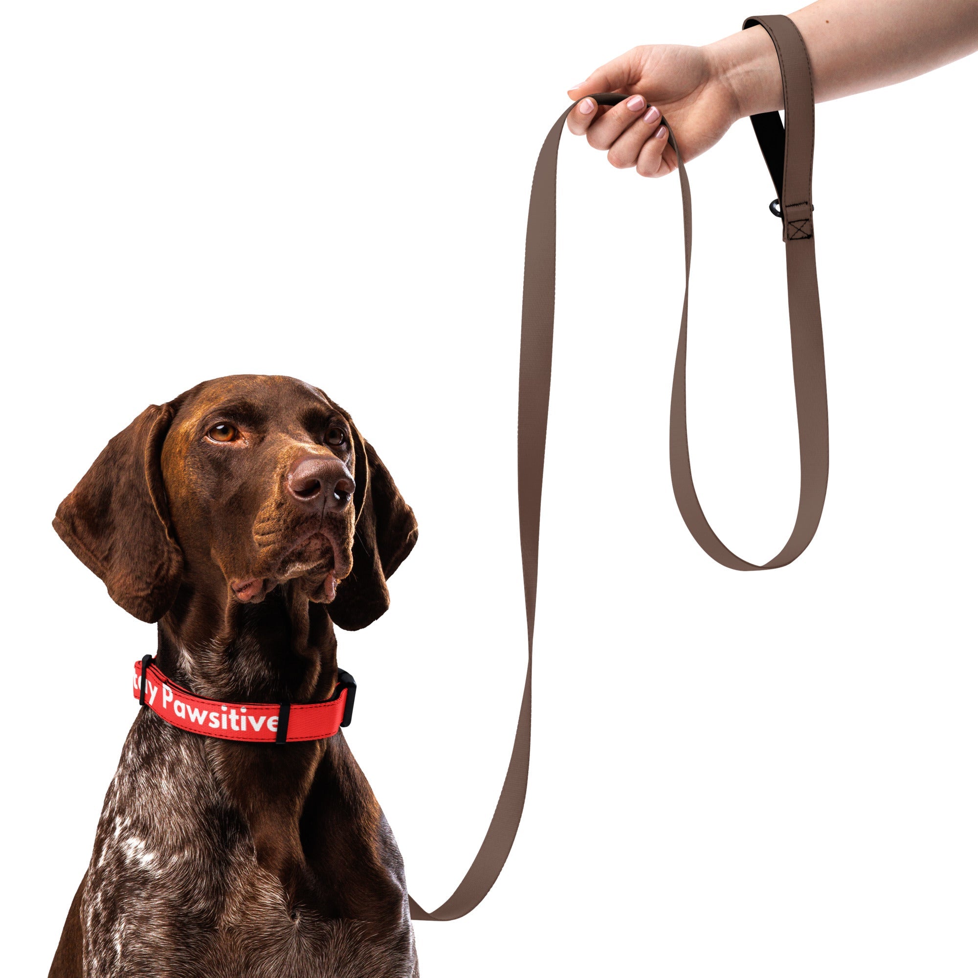 Pets