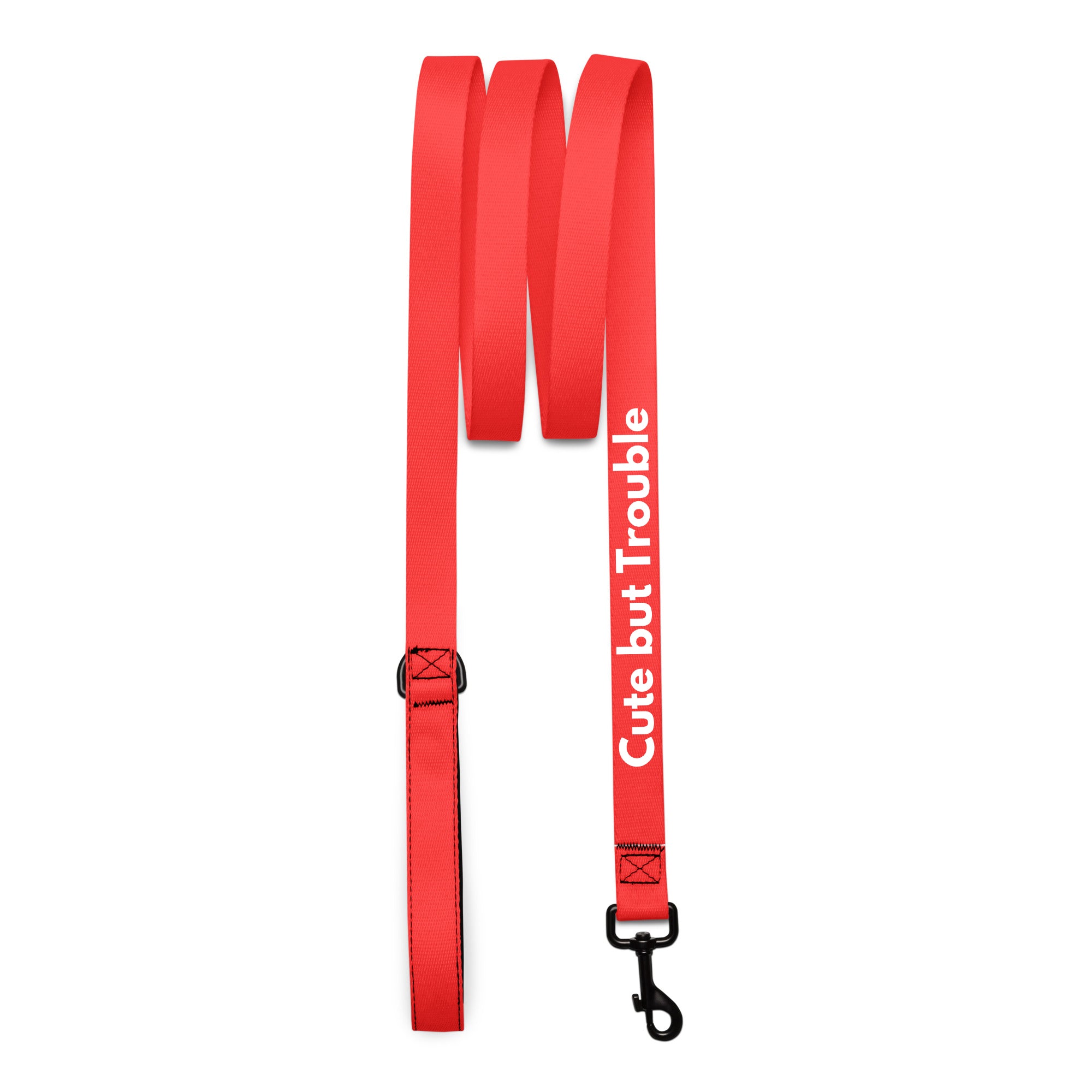 Pet Leash — Cute but Trouble