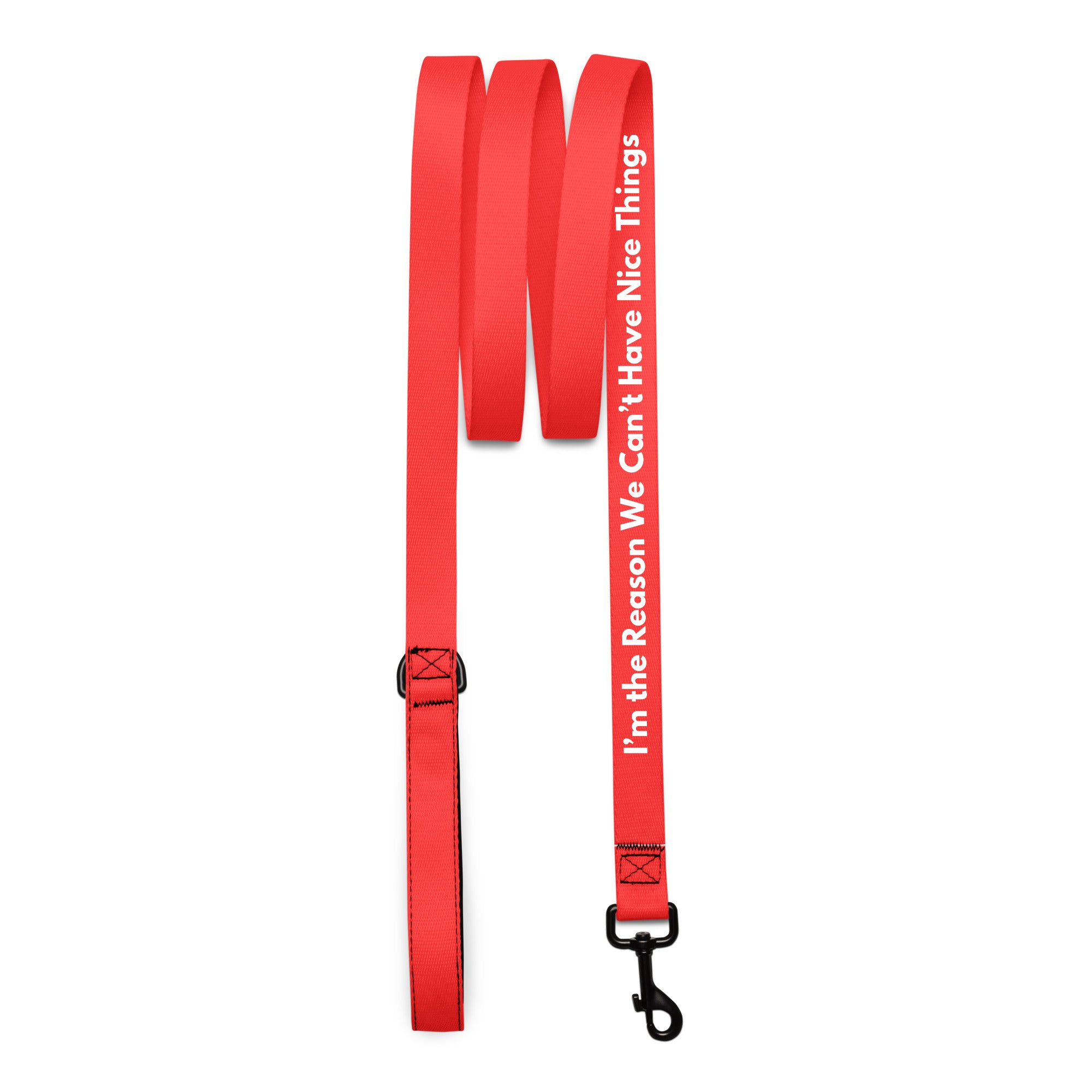 Pet Leash — I'm the Reason We Can't Have Nice Things